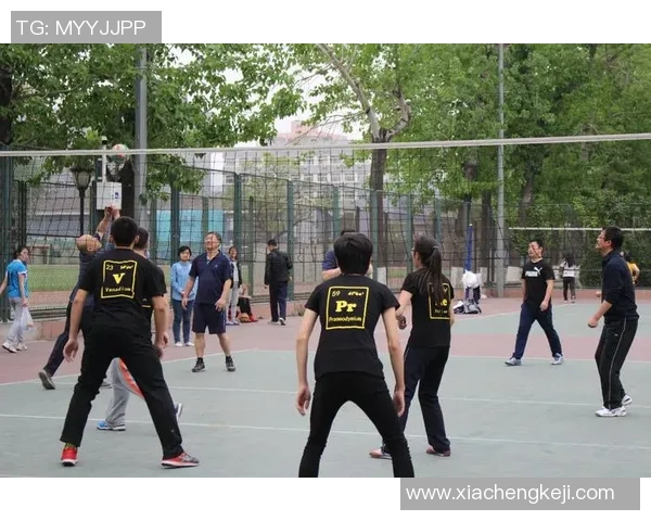 北京排球队在大师赛中的团队协作表现分析与评价